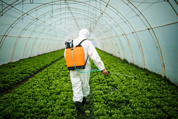 Best Best Pest Control Companies  in Tanque Verde, AZ