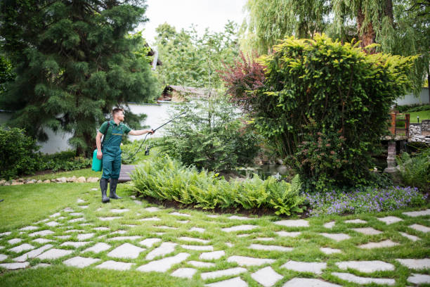 Professional Pest Control in Tanque Verde, AZ