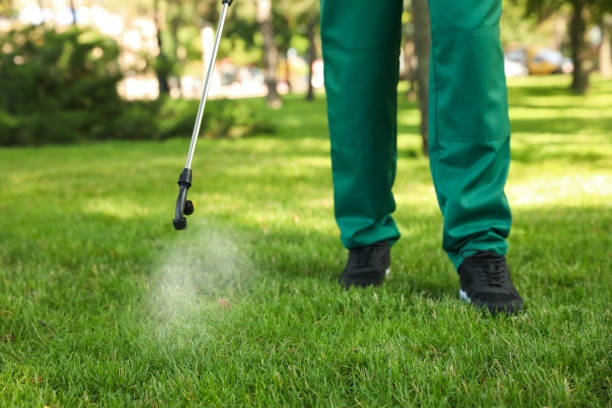 Best Exterminator Services  in Tanque Verde, AZ